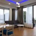 Spacious one bedroom apartment for rent in Son Tra, Da Nang SA306