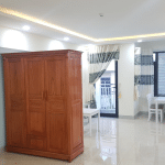 BEAUTIFUL ONE BEDROOM APARTMENT FOR RENT IN SON TRA, DA NANG SA361